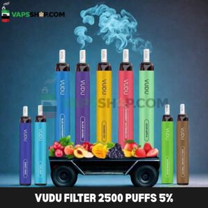 VUDU Filter 2500 Puffs 5% Disposable Buy in UAE Dubai Vape Shop