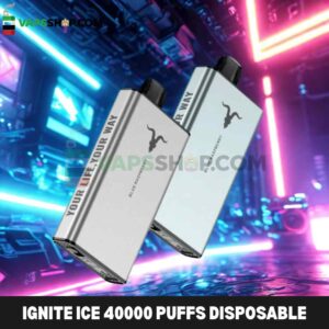 Ignite Ice 40000 Puffs Disposable Vape Icy Flavor Control In The UAE