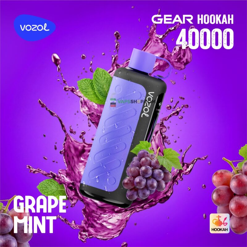 VOZOL Gear Hookah 40000 Puffs__grape mint