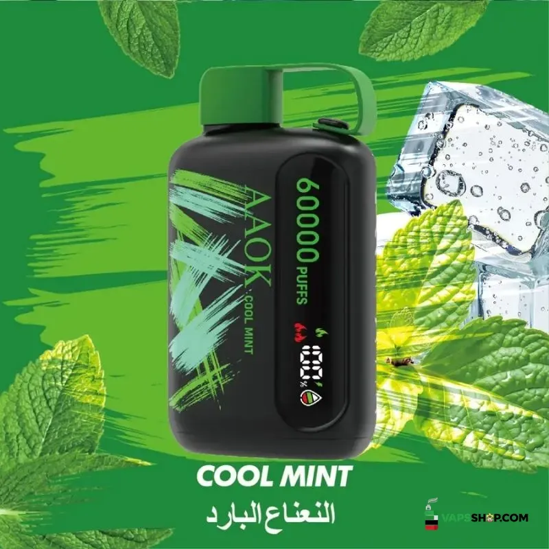 aaok-60k-puffs-disposable-vape-in-the-uae-cool-mint.